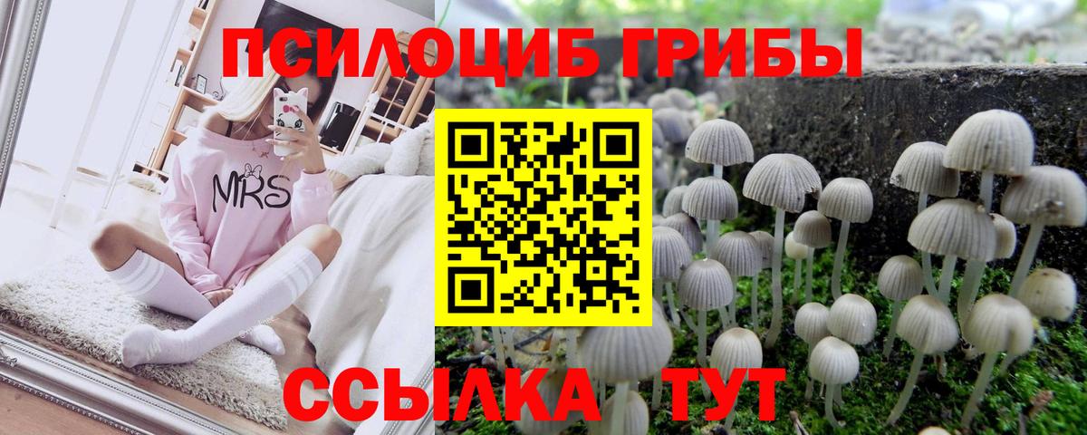 Псилоцибиновые грибы GOLDEN TEACHER Минеральные Воды