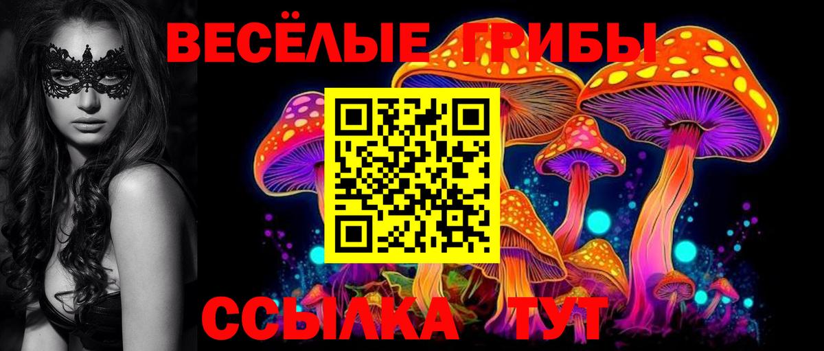 Минеральные Воды  Псилоцибиновые грибы Psilocybine cubensis  Вход с VPN 